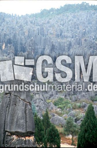 China (229 von 257).jpg